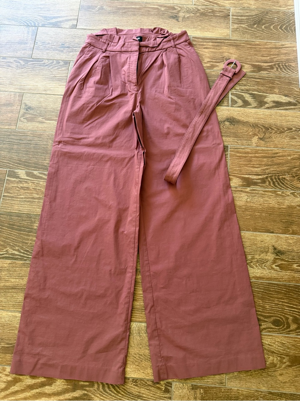 Express Wide-Leg High-Waist Pants in Rust